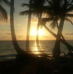 Meet your Posher, Luz